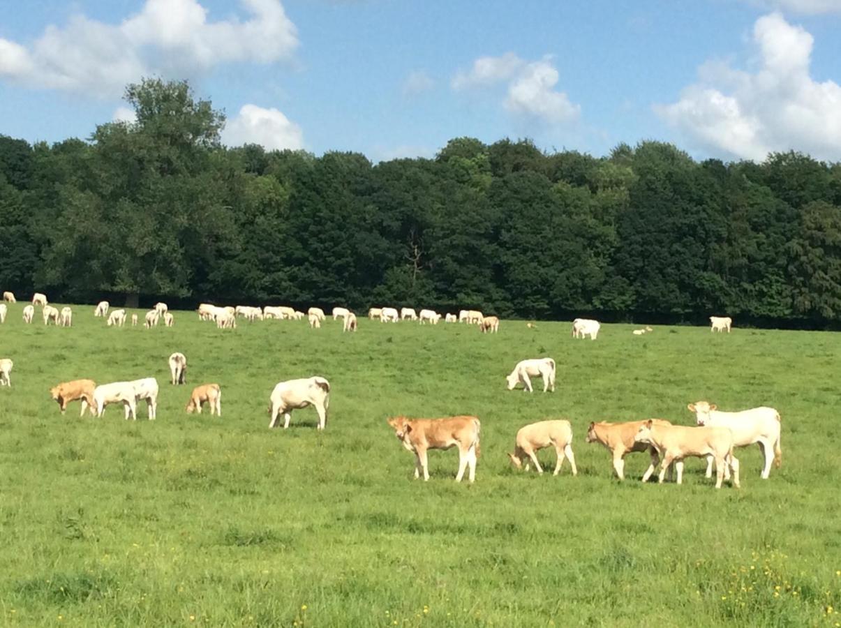 Aux Bois Dores De La Ferme De Sorval, Animaux De La Ferme, Fitness Selvigny ภายนอก รูปภาพ