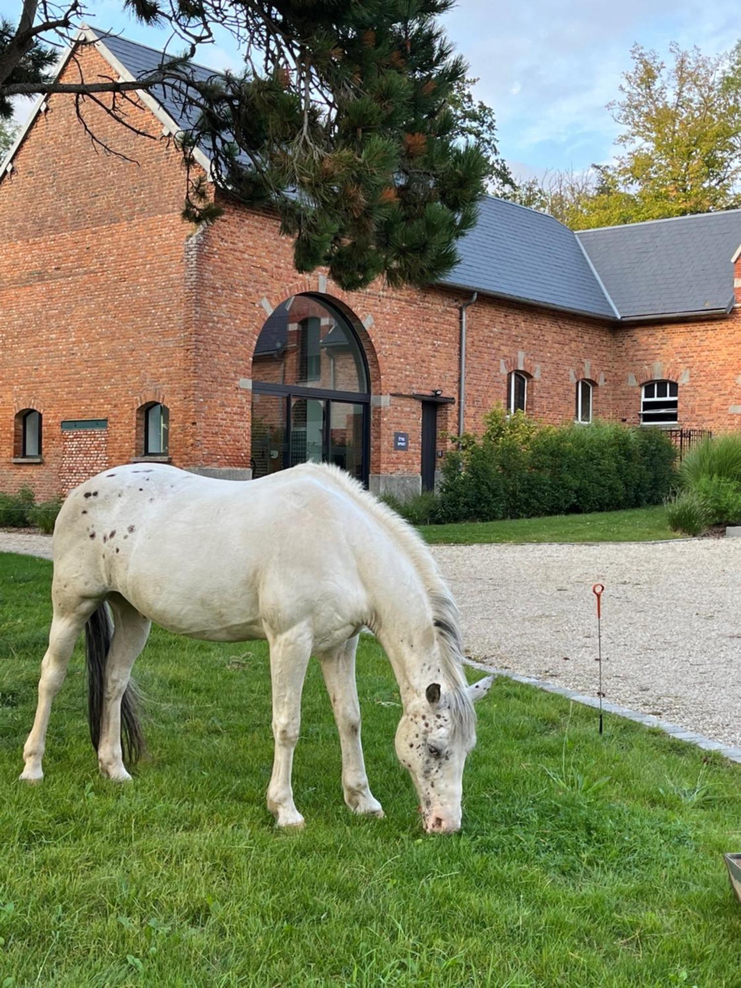 Aux Bois Dores De La Ferme De Sorval, Animaux De La Ferme, Fitness Selvigny ภายนอก รูปภาพ